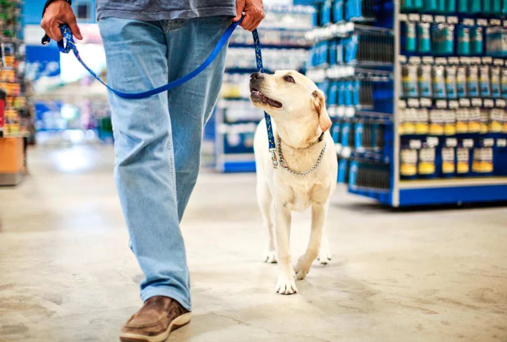 Are Dogs Allowed at Home Depot