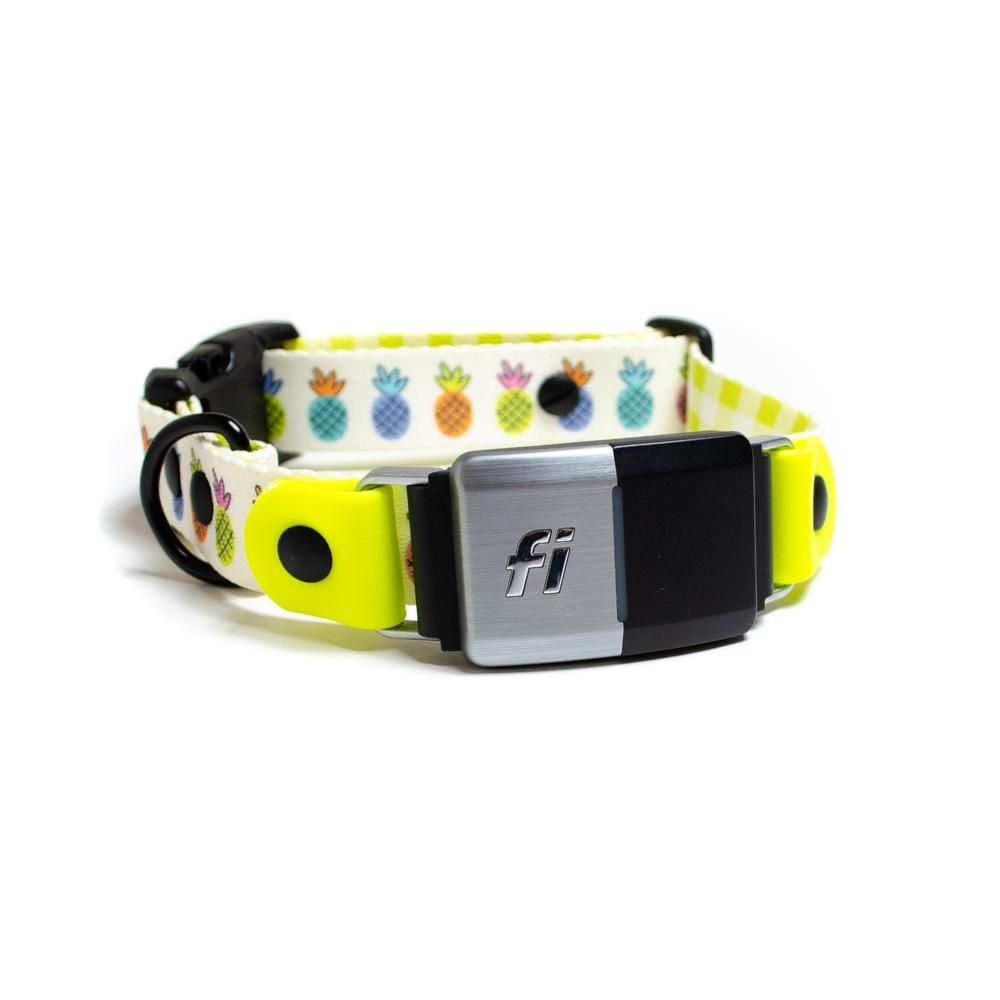New Maker Alert - PawTies