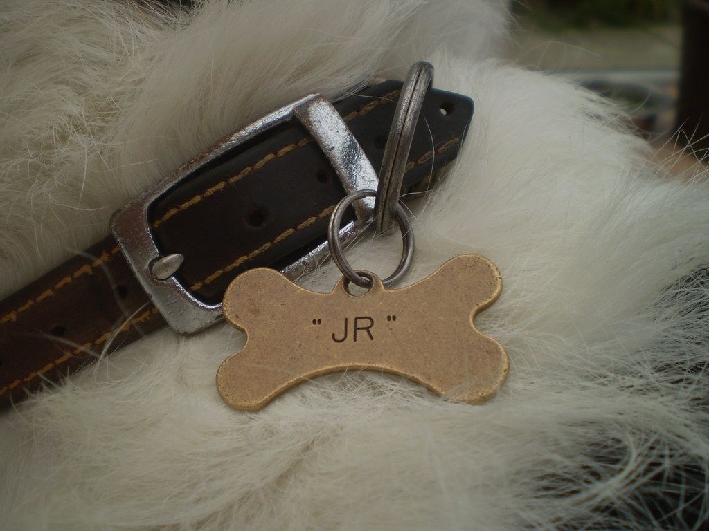 how to attach a dog tag to a collar