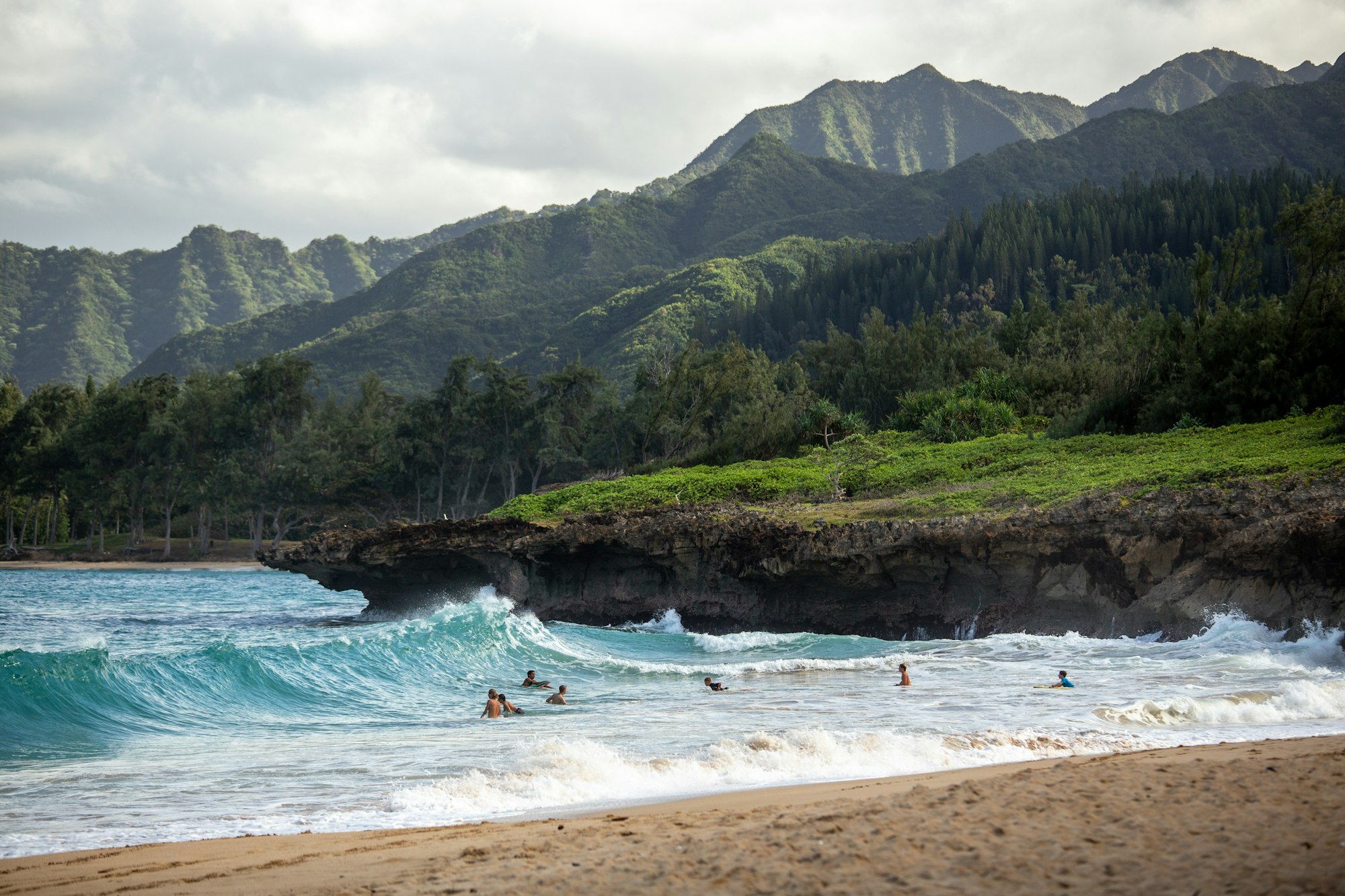 Hawaiian Dog Names