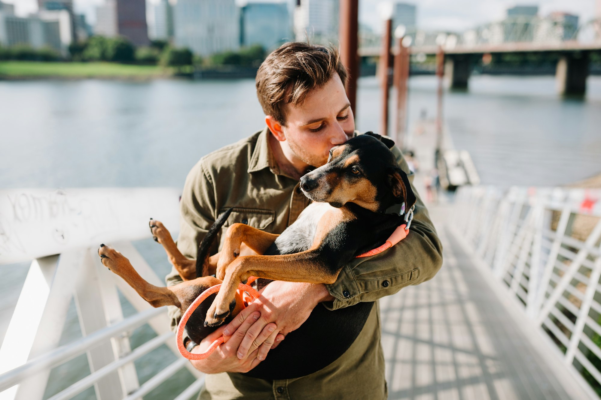 Can Rescue Dogs Regress