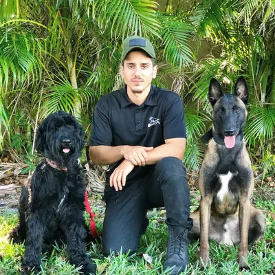 How a Military Dog Trainer Curbs Excessive Barking