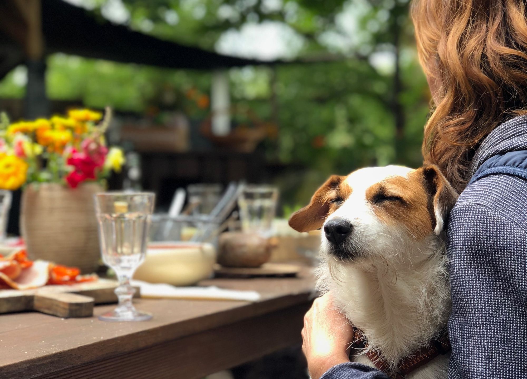 Dog Friendly Austin Texas
